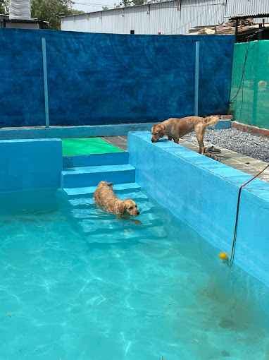 Ultimutt Pet Resort - Dog Boarding in Gurgaon & Delhi/NCR (Gurugram)