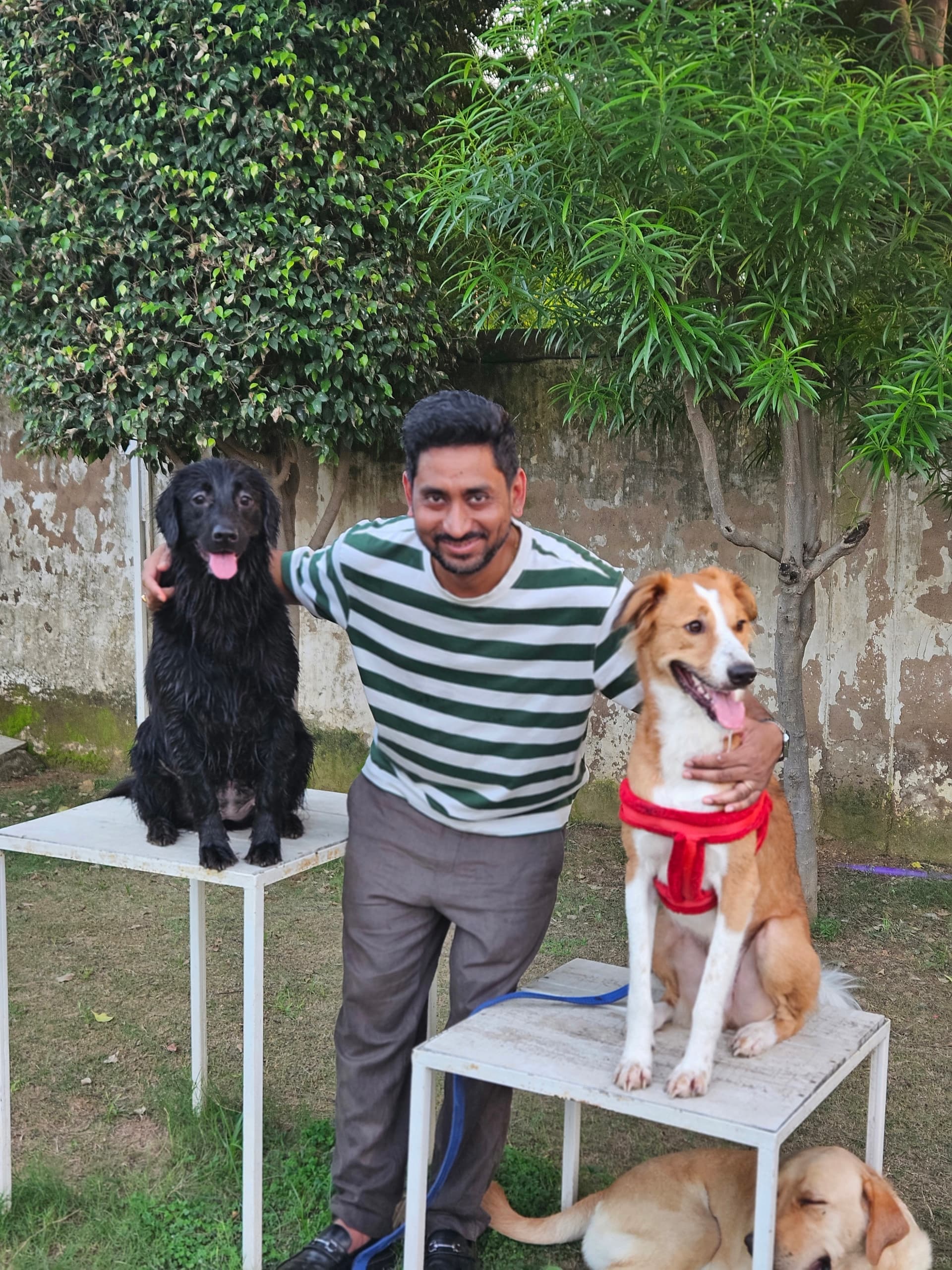 Tail Club Gurgaon – The Ultimate Pet-Friendly Club