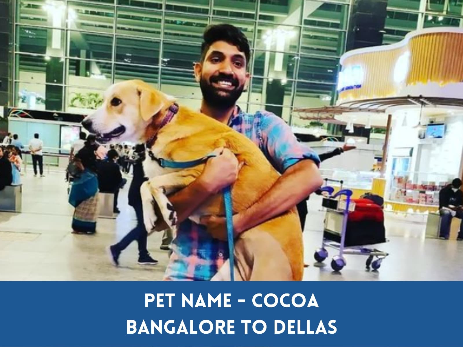 Global Petcab (Bengaluru)