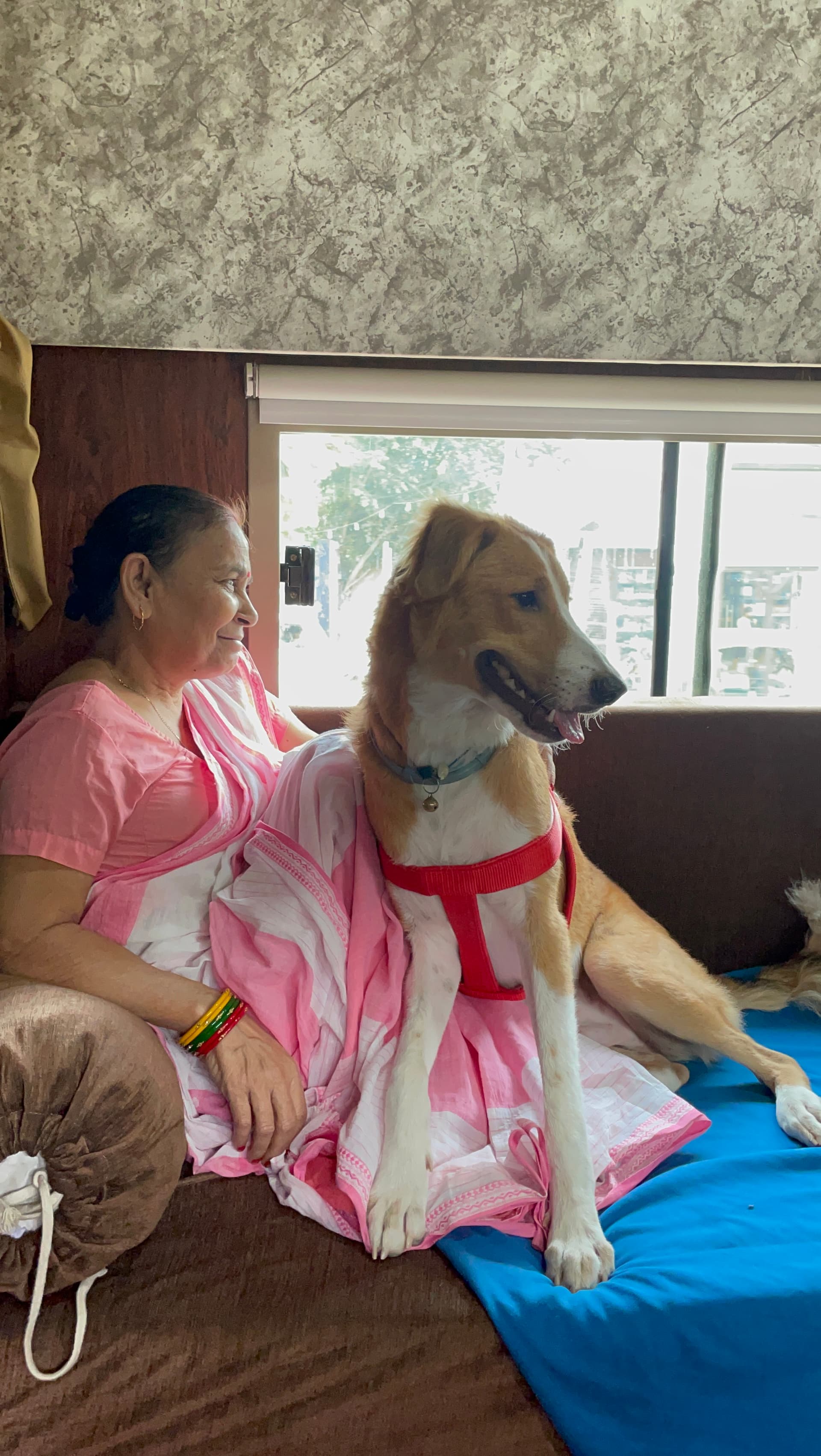 Caravan On Rent (Delhi NCR)