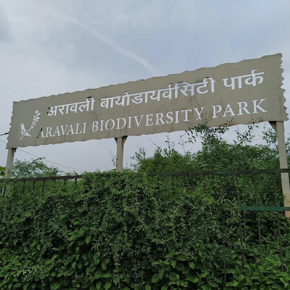 Aravalli Biodiversity Park (Gurugram)