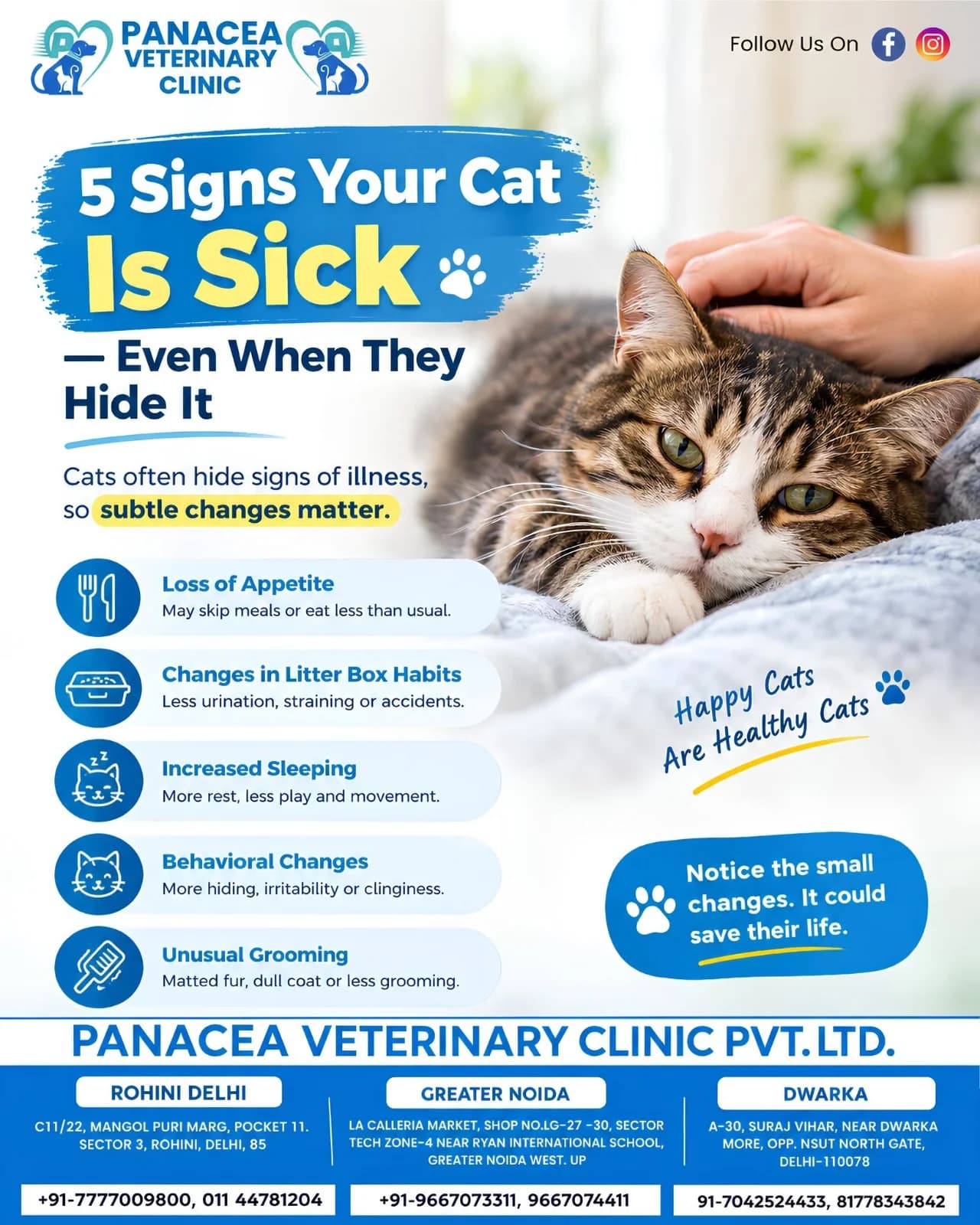 Panacea Veterinary Clinic (Delhi)