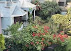 Maninder's Home Stay