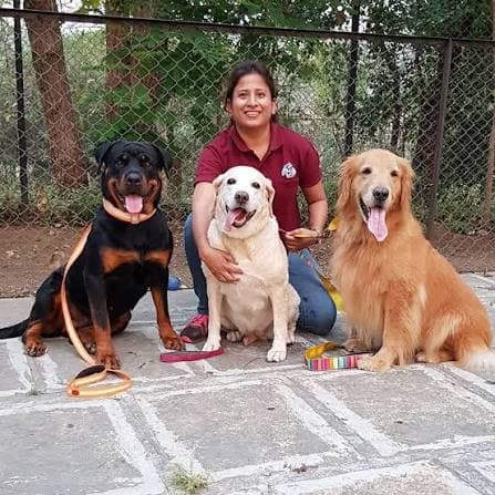 The Doggy Den Boarding, Pune
