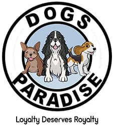 Dogs Paradise Grooming - Pet Grooming Service South Delhi (New Delhi)