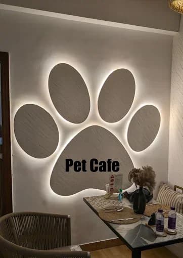 The Pet Cafe Pune