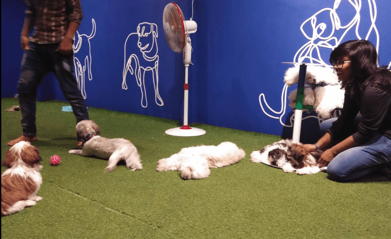 Twisty Tails - Pet themed Restaurant (Chennai)
