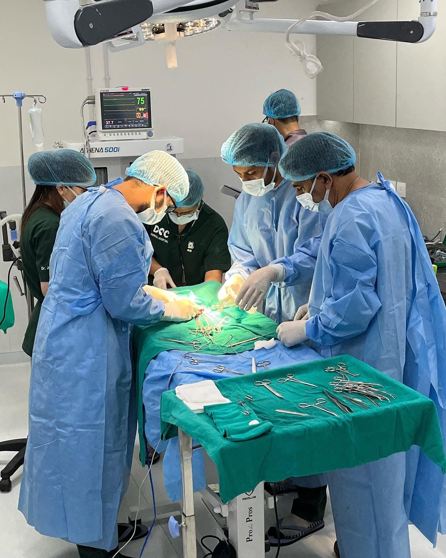 DCC Animal Hospital (Jaipur)