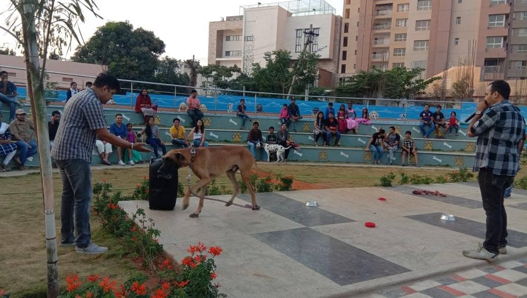 GHMC Dog Park, Gachibowli