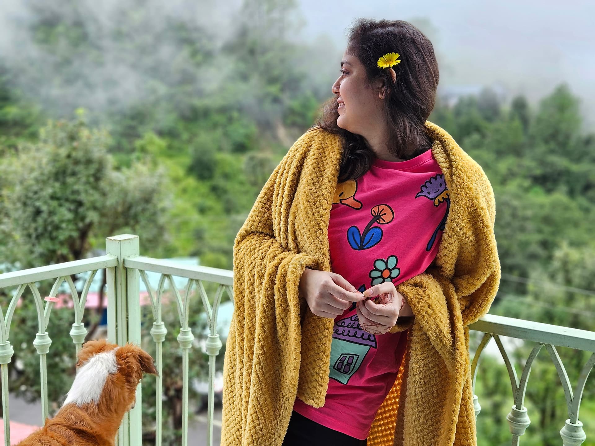 The Sarang (Bhimtal)