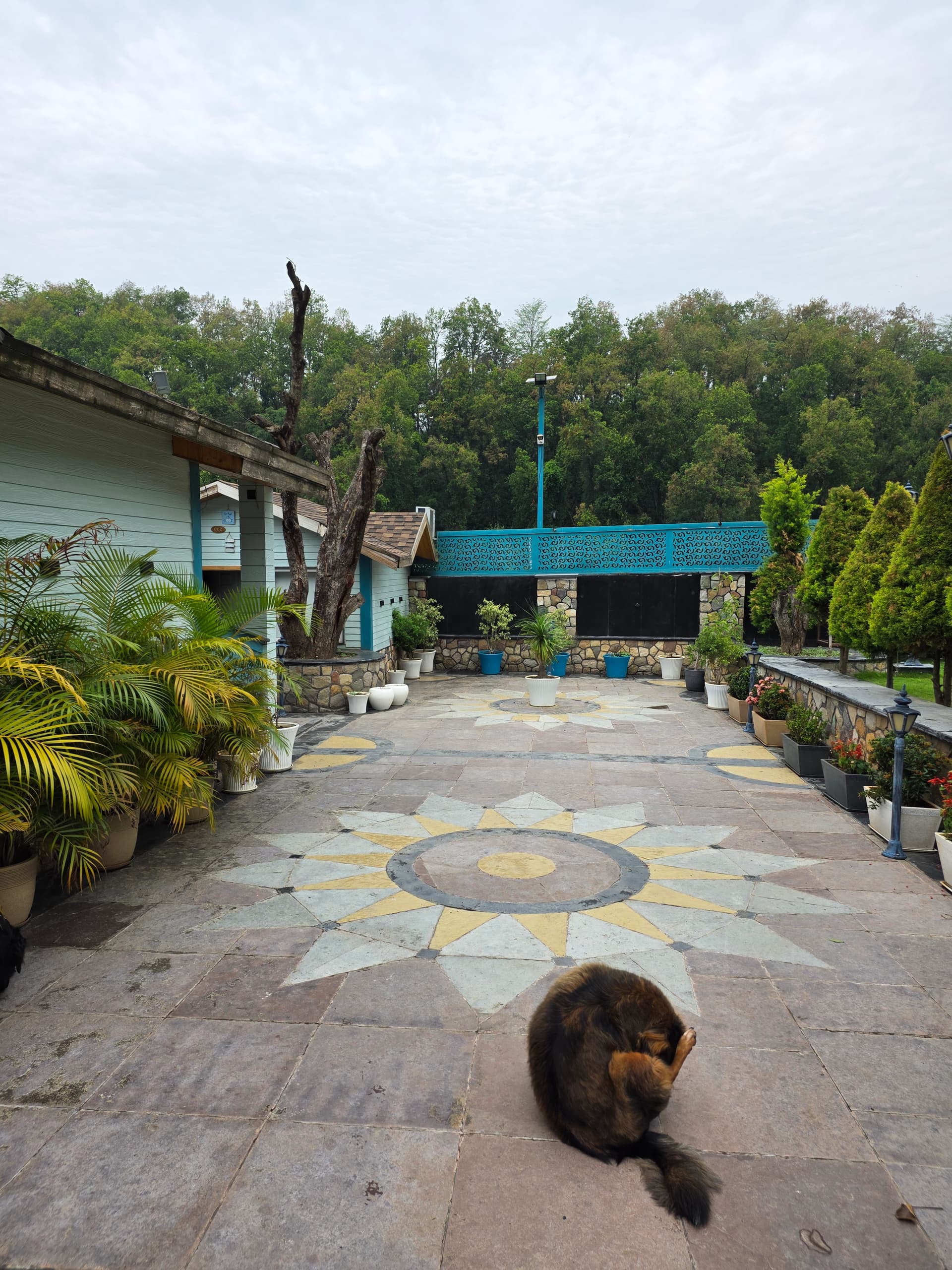 Sela Home by O-Bandhu (Dehradun)