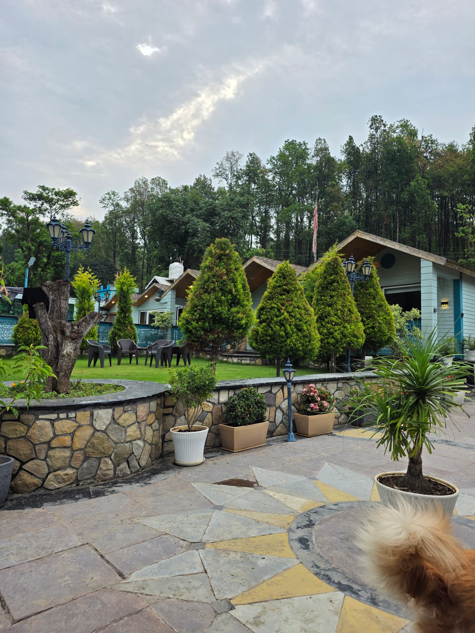 Sela Home by O-Bandhu (Dehradun)