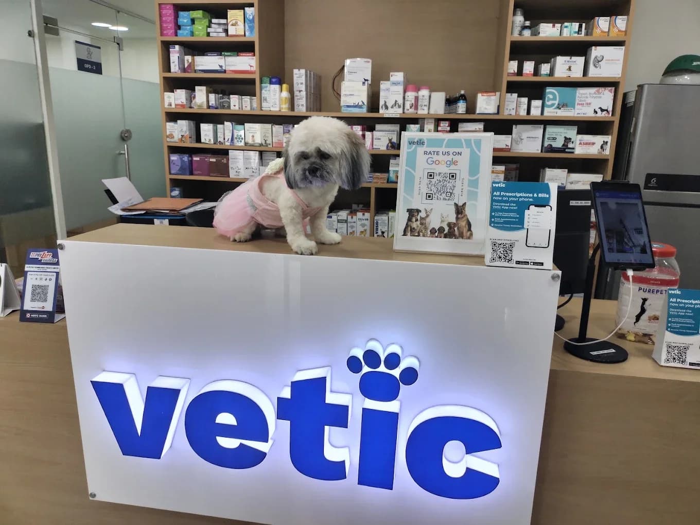 Vetic Pet Clinic Dwarka Sec 17 (Delhi)