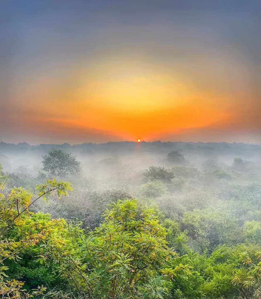 Aravalli Biodiversity Park (Gurugram)