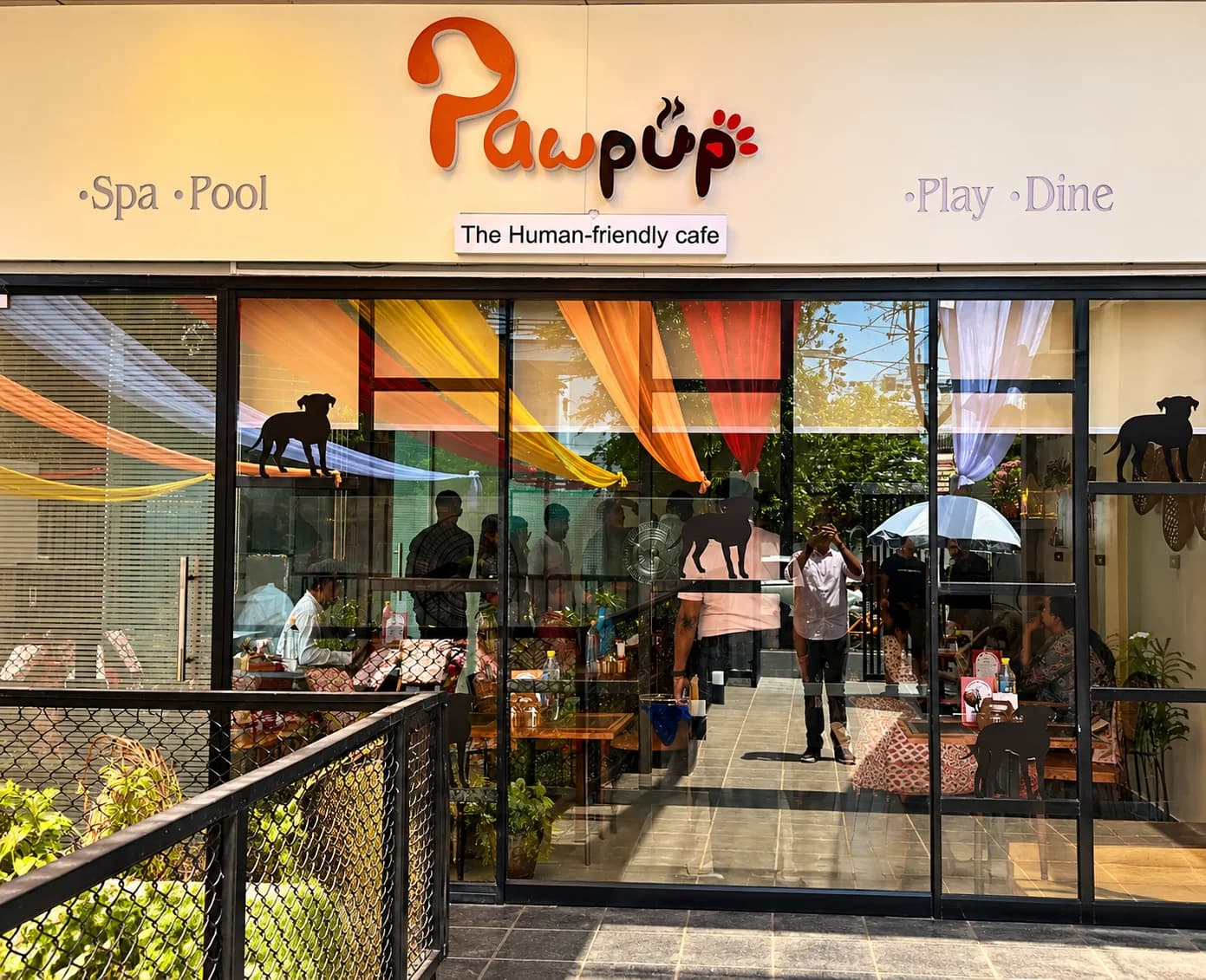 Pawpup Cafe (Lucknow)
