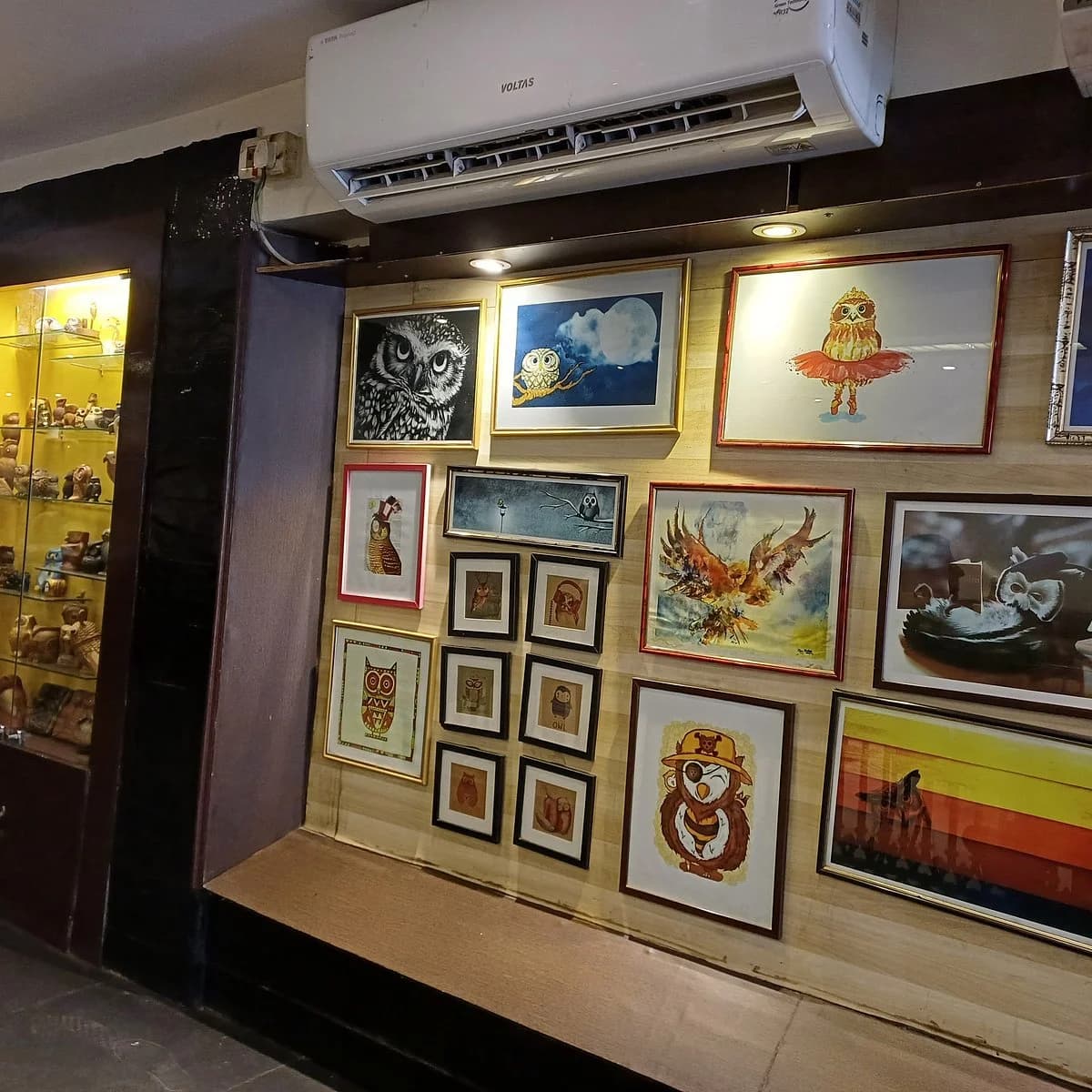 Wise Owl The Coffee Shop (Kolkata)