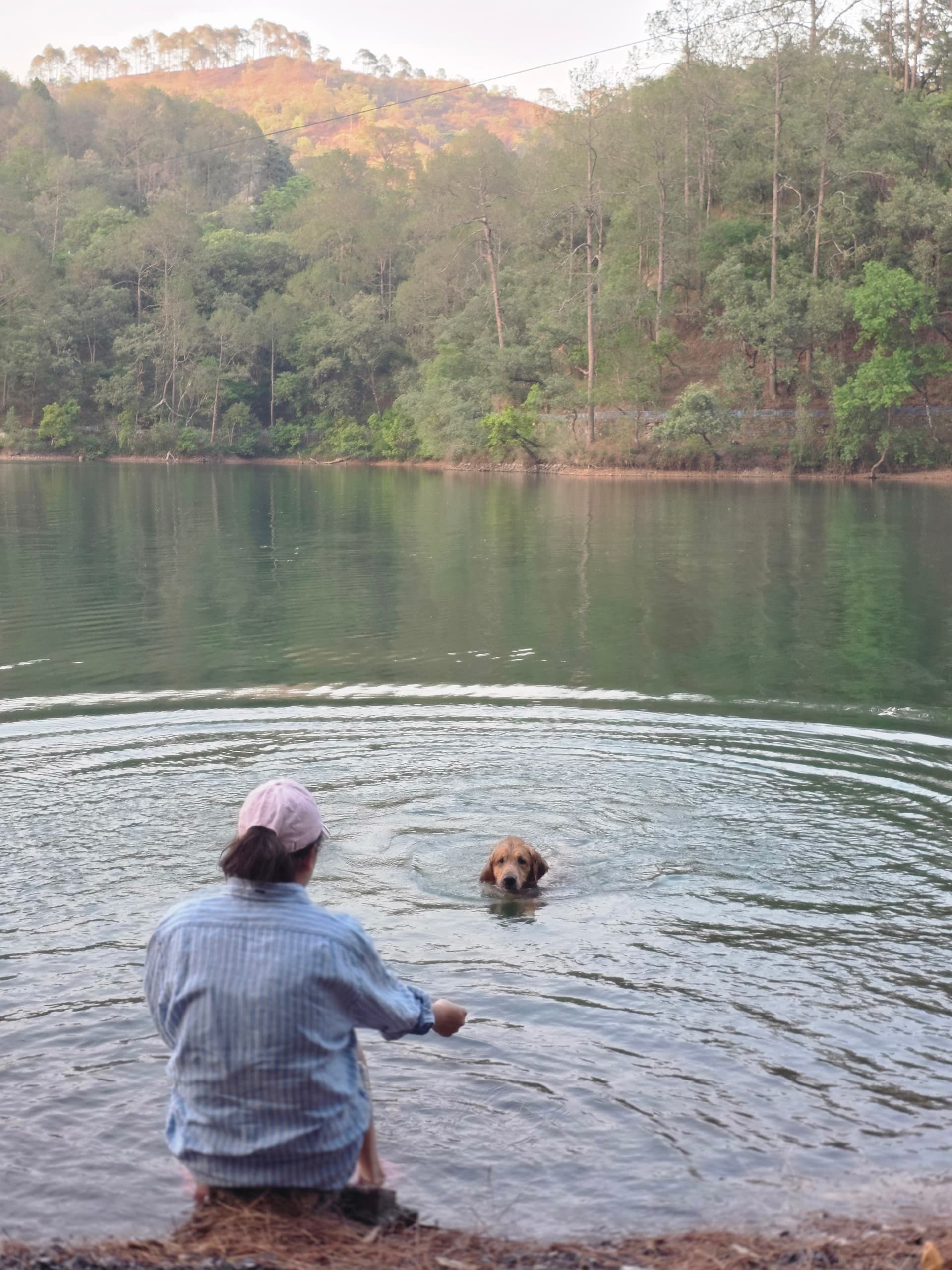 Sattal Lake - Dog Swimming Spot
