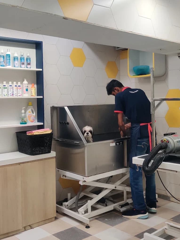 Zigly - Pet Hospital, Pet Grooming & Pet Products | AIPL, Sector-66, Gurgaon (Gurugram)