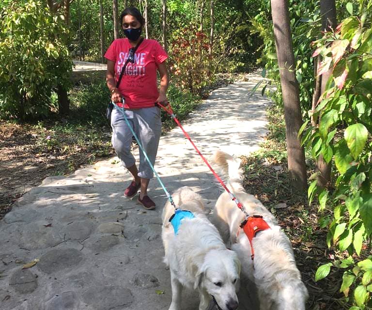 Camp Hornbill, Kyari (Corbett) (Kiari Kham)
