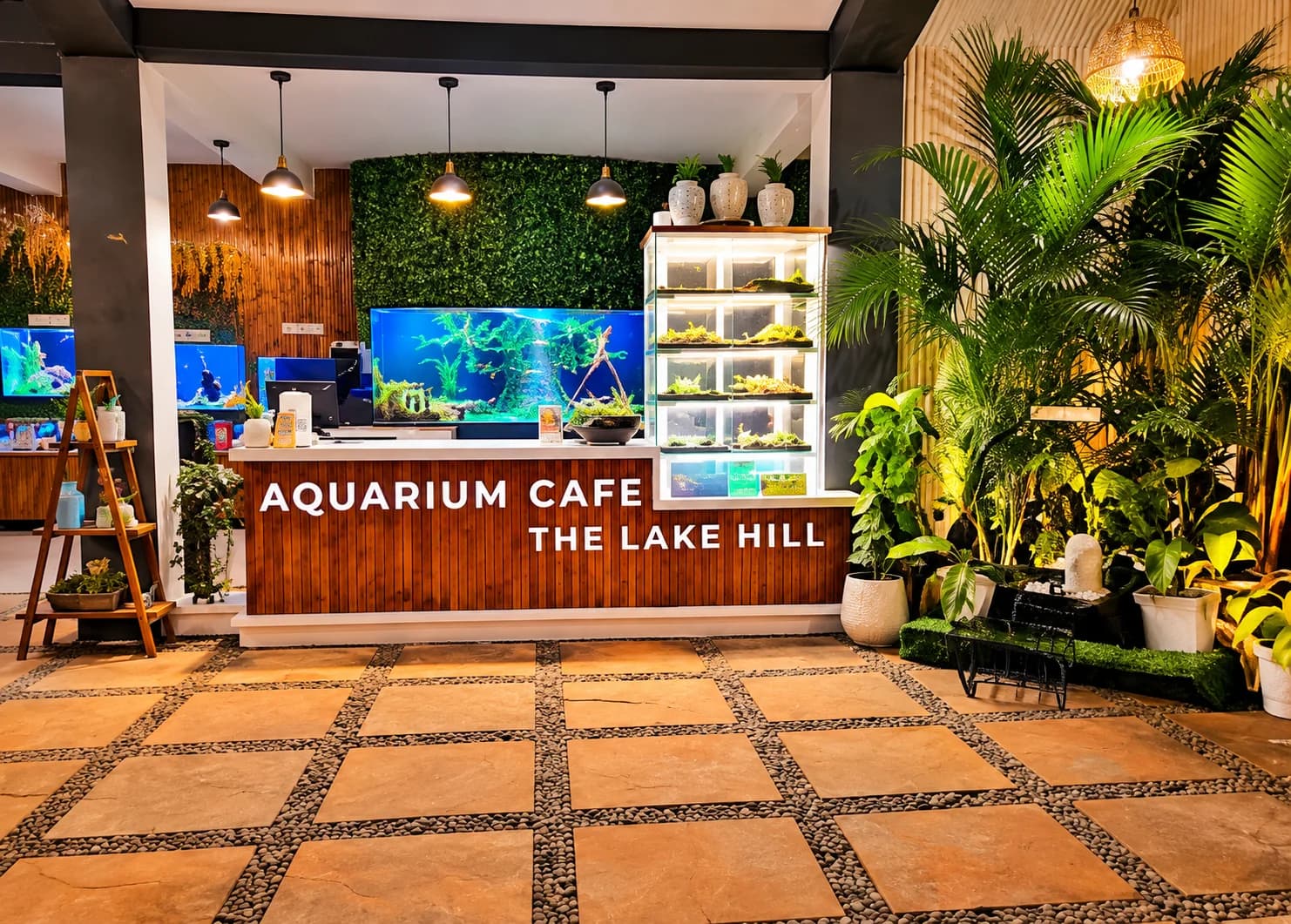 Aquarium Island Cafe - Bhimtal
