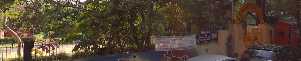 Delhi's First Dog Park (Rajinder Nagar)