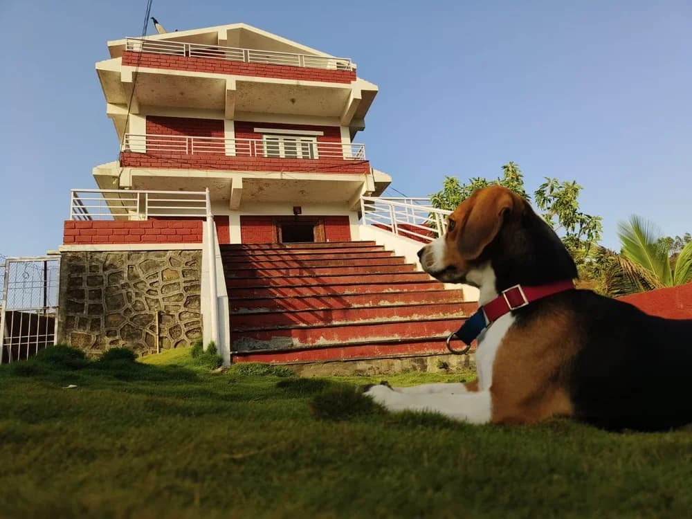 The Lal Mansion (Pet Friendly) Holiday Villa