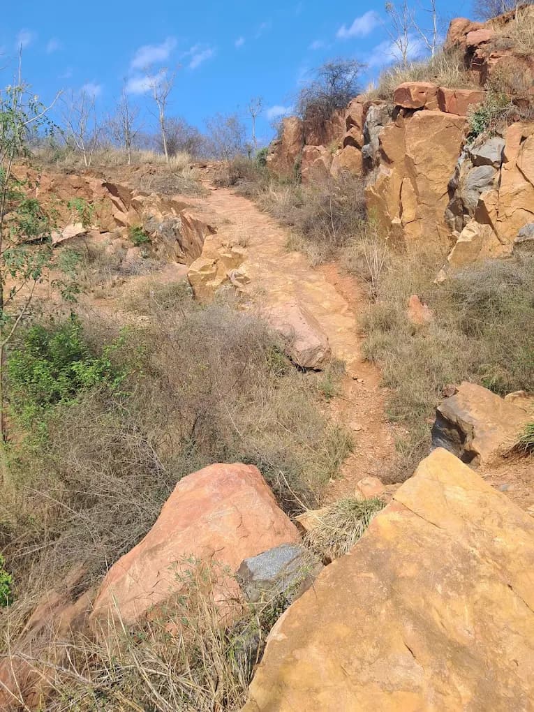 Aravalli Biodiversity Park (Gurugram)