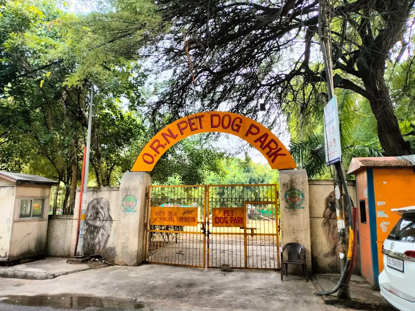 Delhi's First Dog Park (Rajinder Nagar)