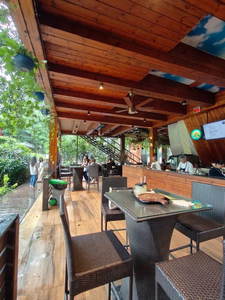 Cine Tree Cafe (New Delhi)