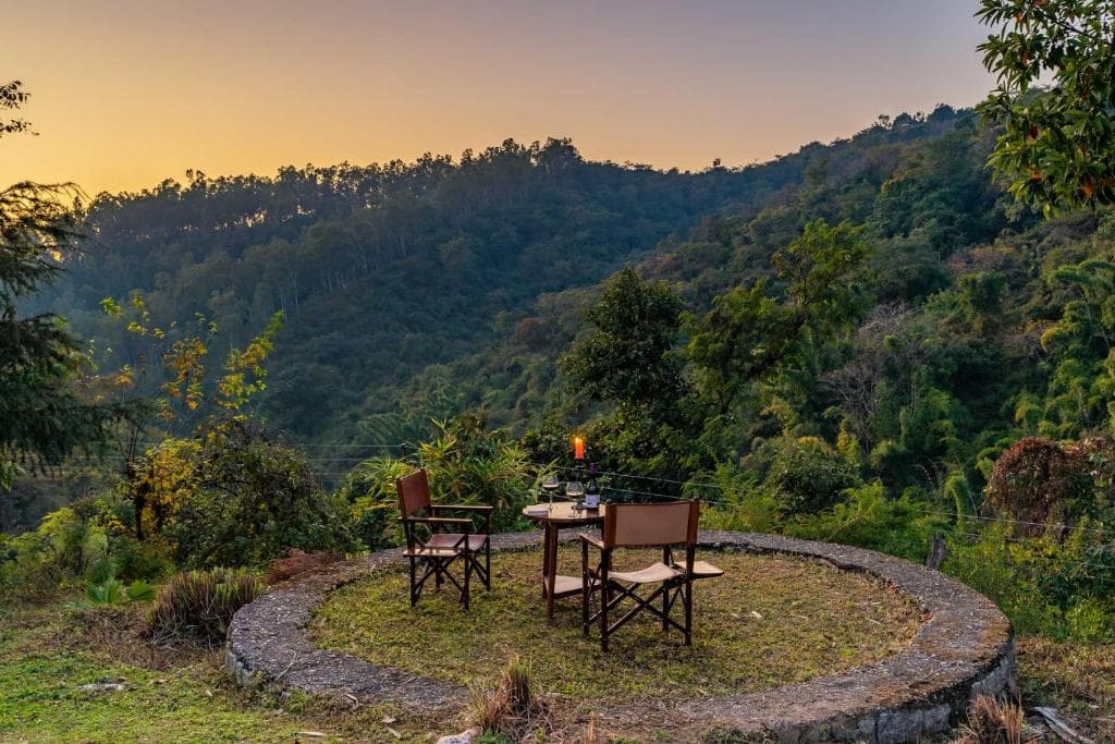 Tea Gardens Dharamshala Narghota