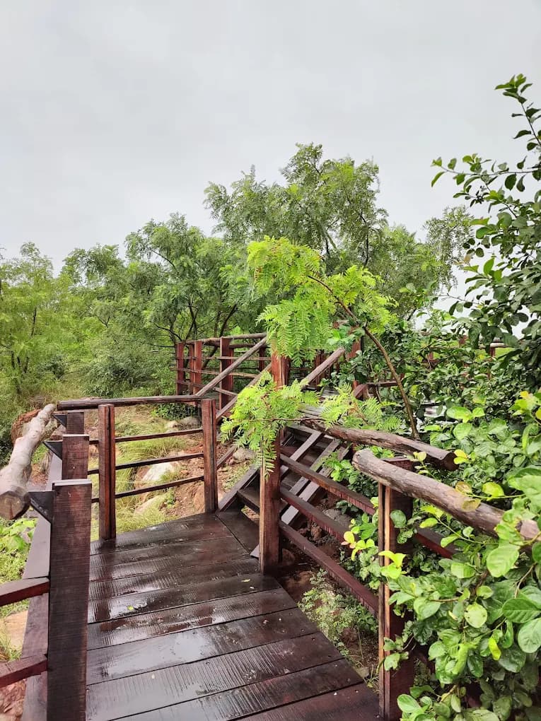 Aravalli Biodiversity Park (Gurugram)