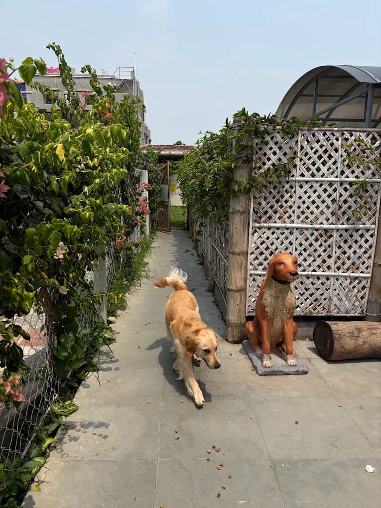 Wagtime (Polerhat)