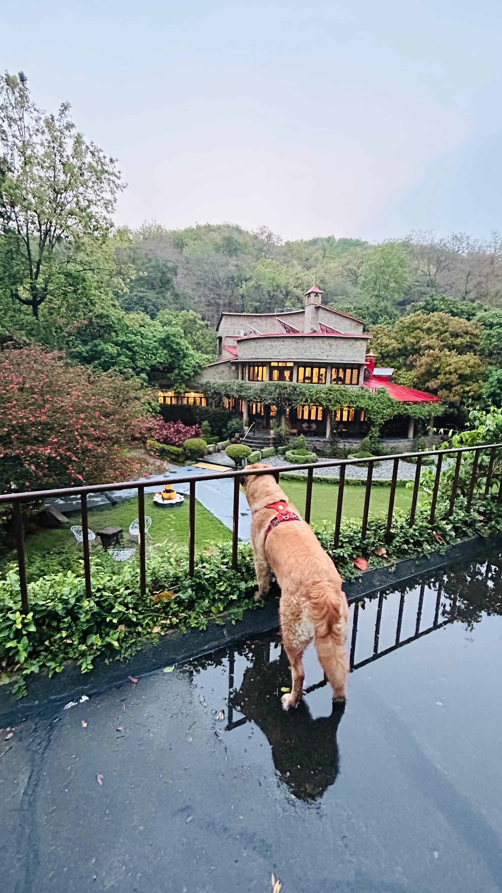 The Den Corbett Resort & Spa - Jim Corbett