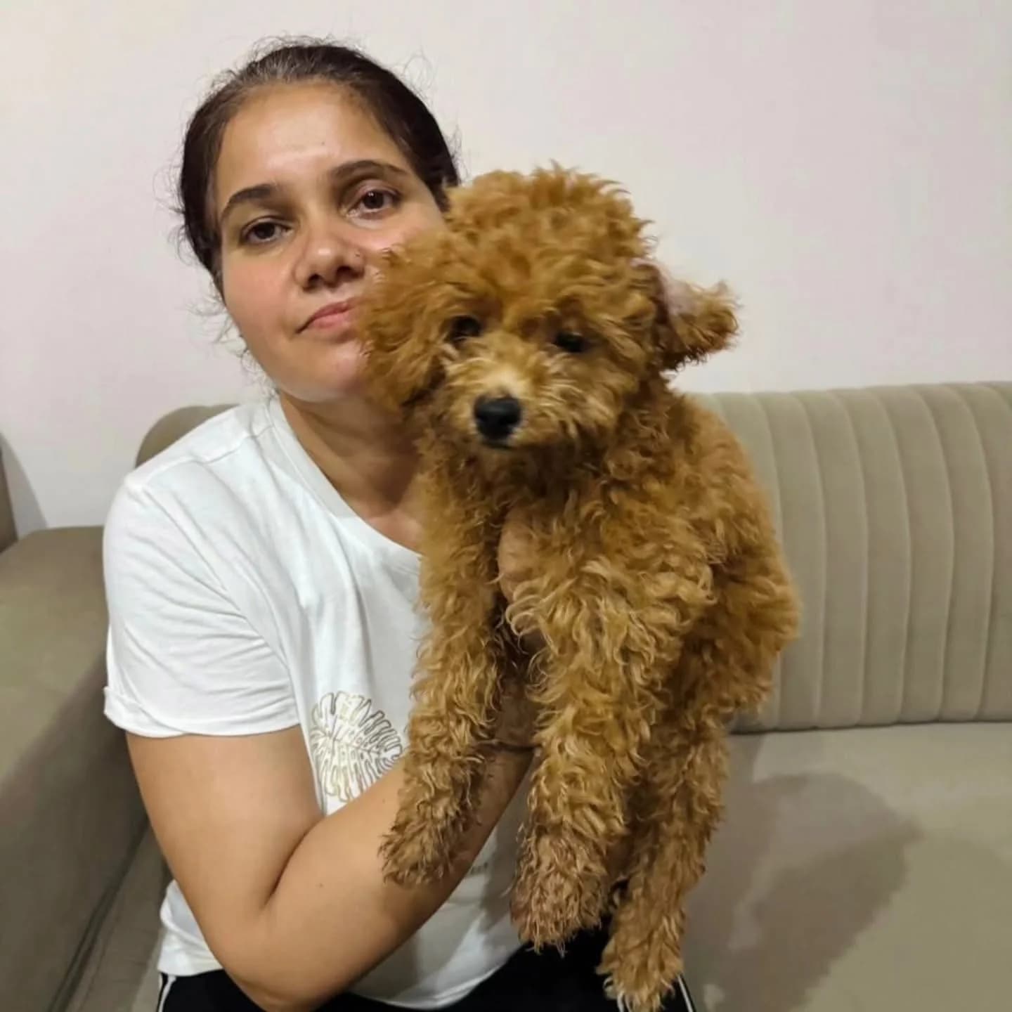 Beloved pets World (Delhi)
