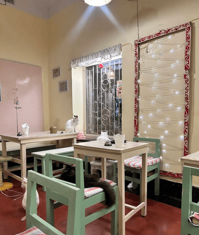 Mrs. Wilson's Cafe (Kolkata)