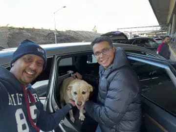 Anvis Pet Relocation (Bangalore)