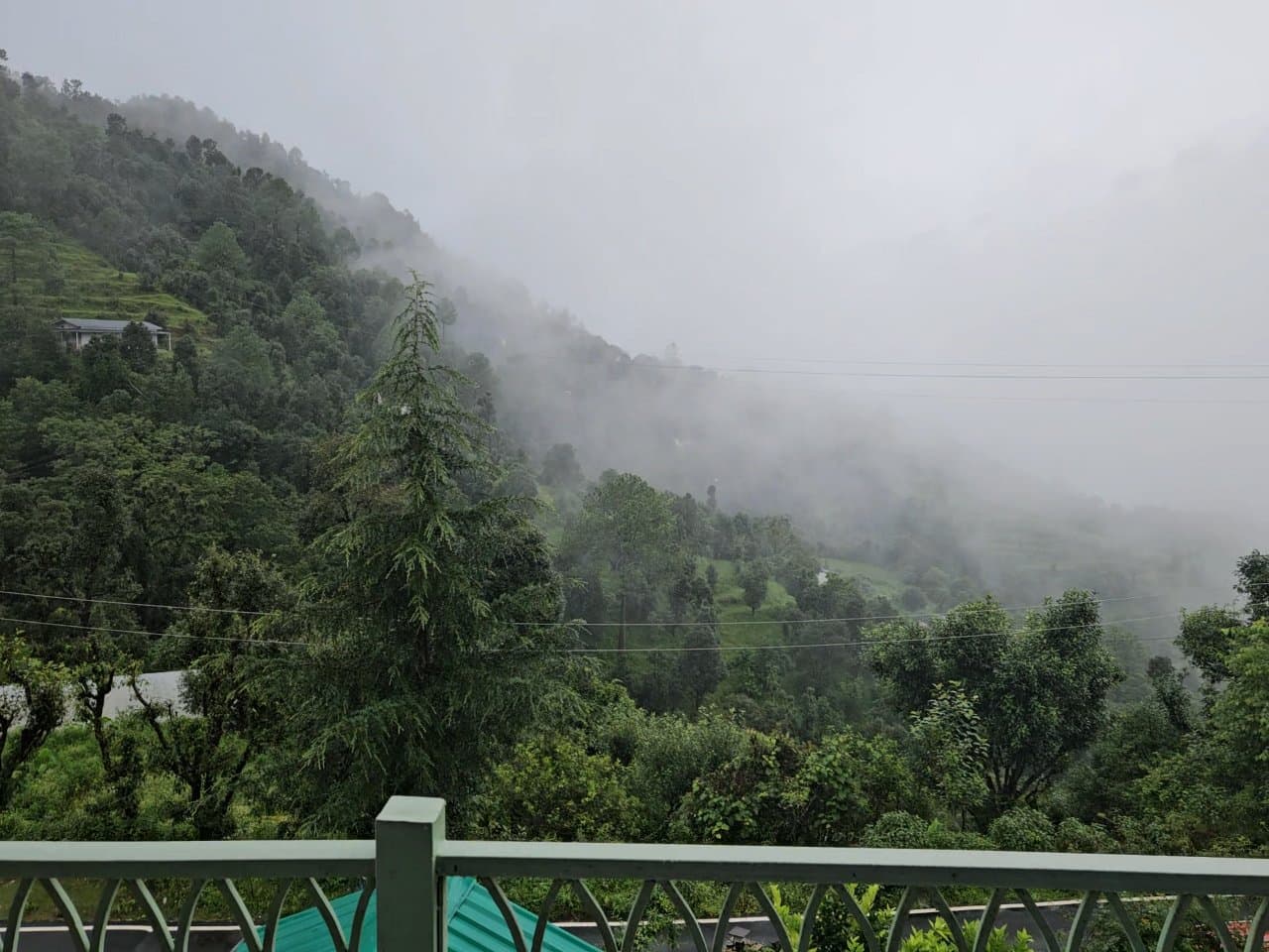 The Sarang (Bhimtal)