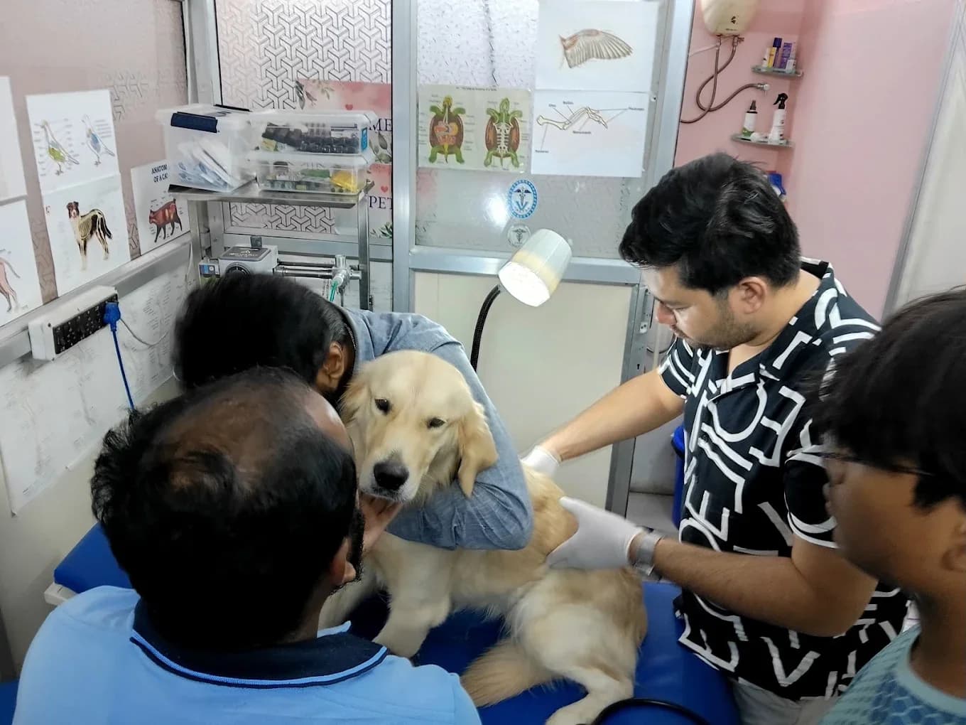 The WONDER VET (Kolkata)