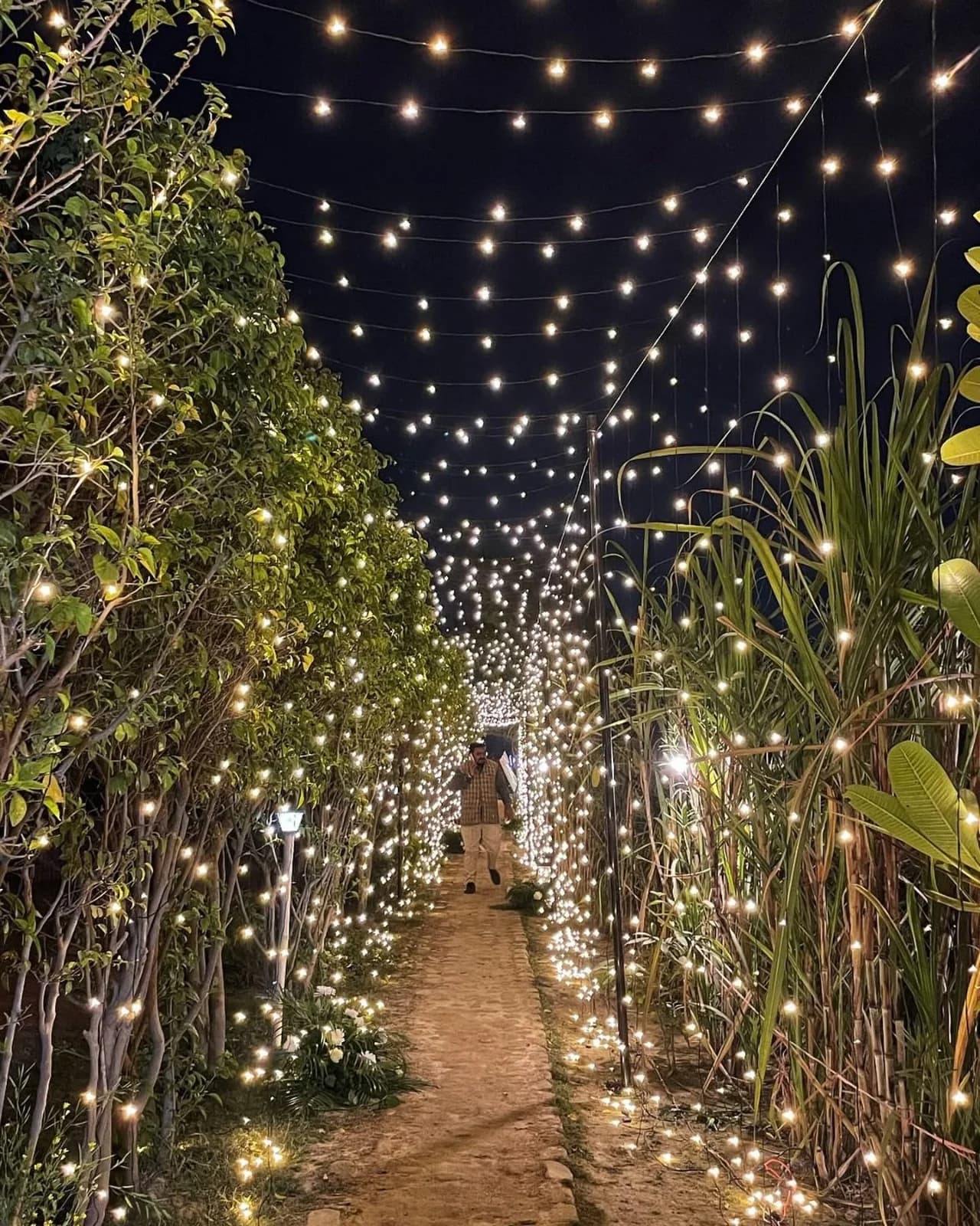 Baagh Bagicha (Noida)