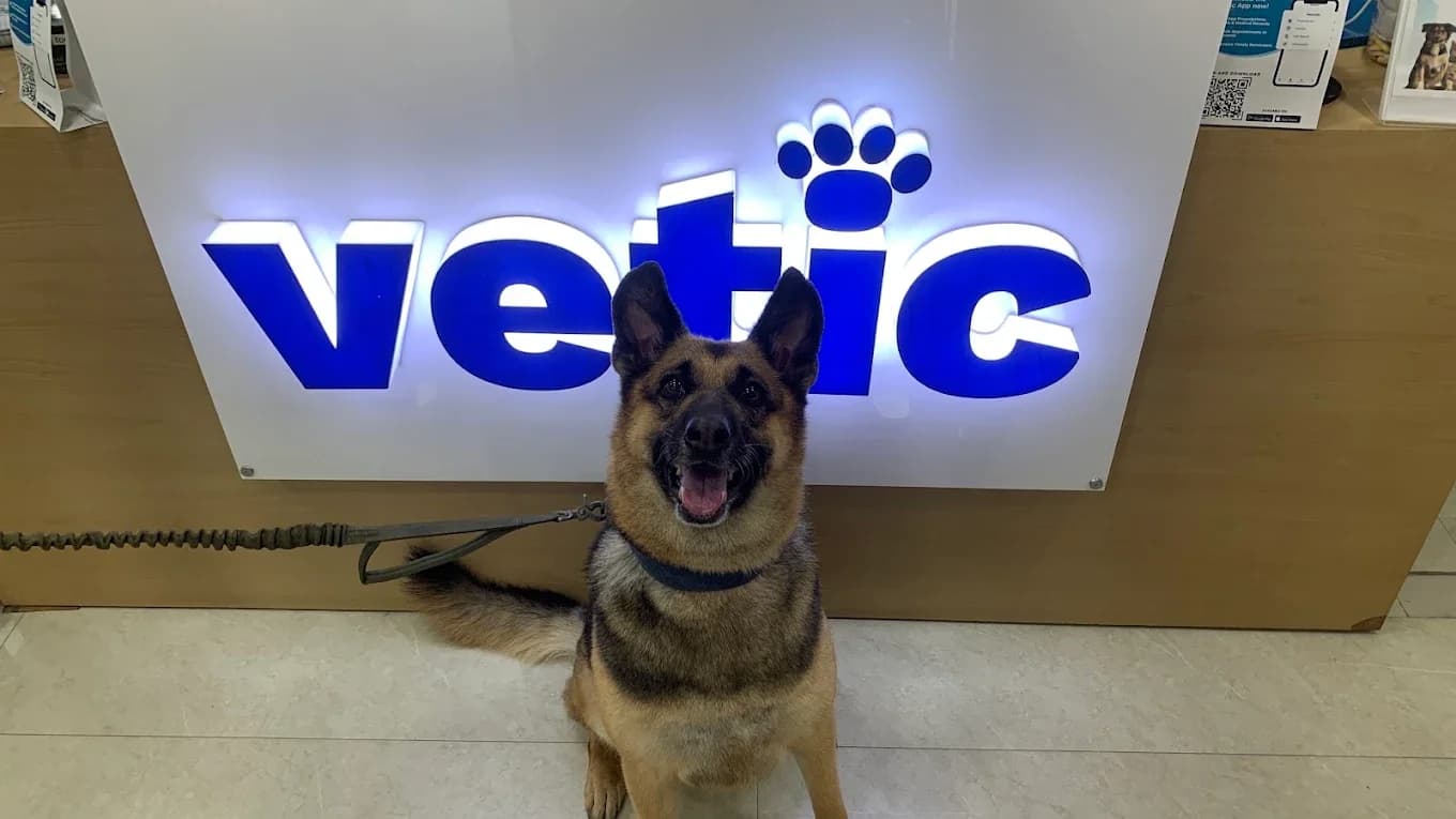 Vetic Pet Clinic Dwarka Sec 17 (Delhi)