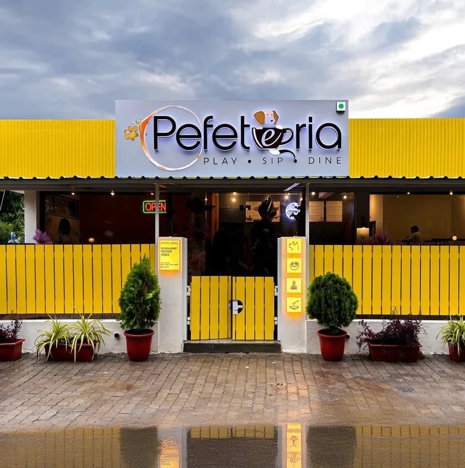 Pefeteria - Gujarat's 1st Pet Cafe