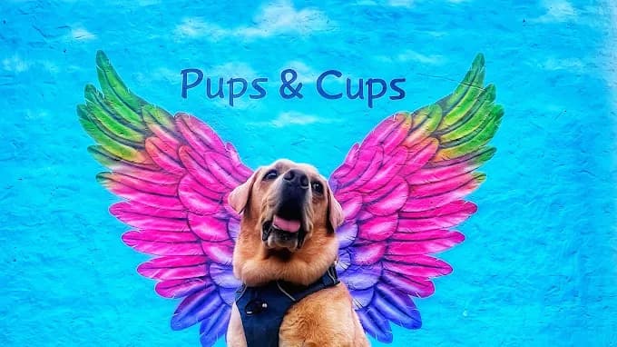 Pups and Cups (Noida)