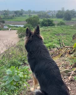 Tekri farms and Retreat