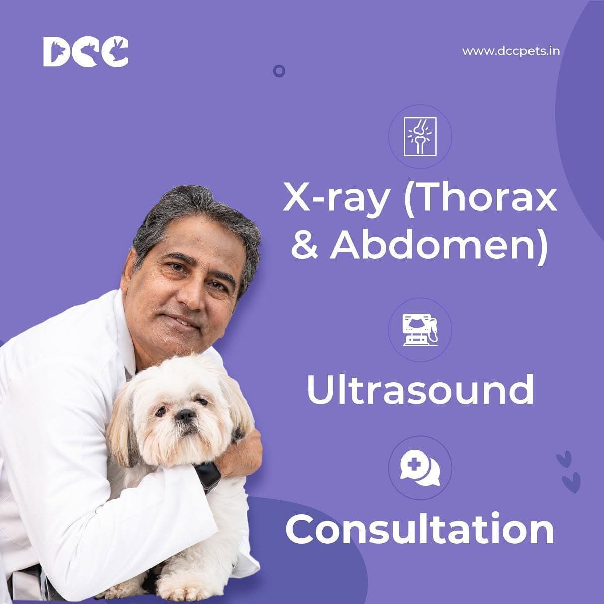 DCC Animal Hospital (Rewari)