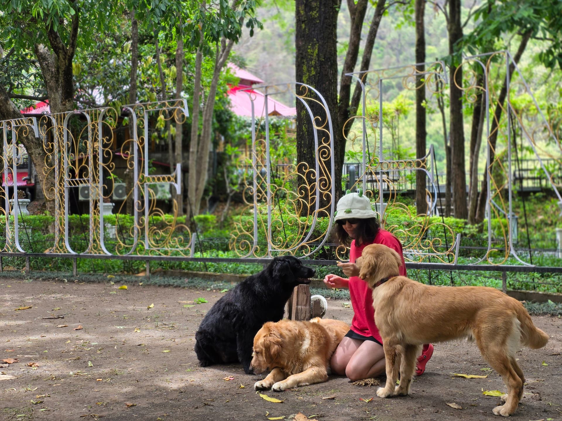 The Den Corbett Resort & Spa - Jim Corbett