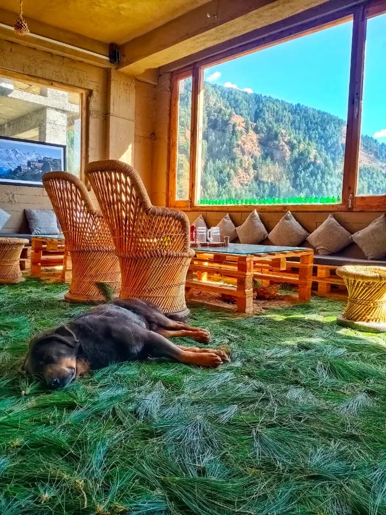 Khadu Cafe