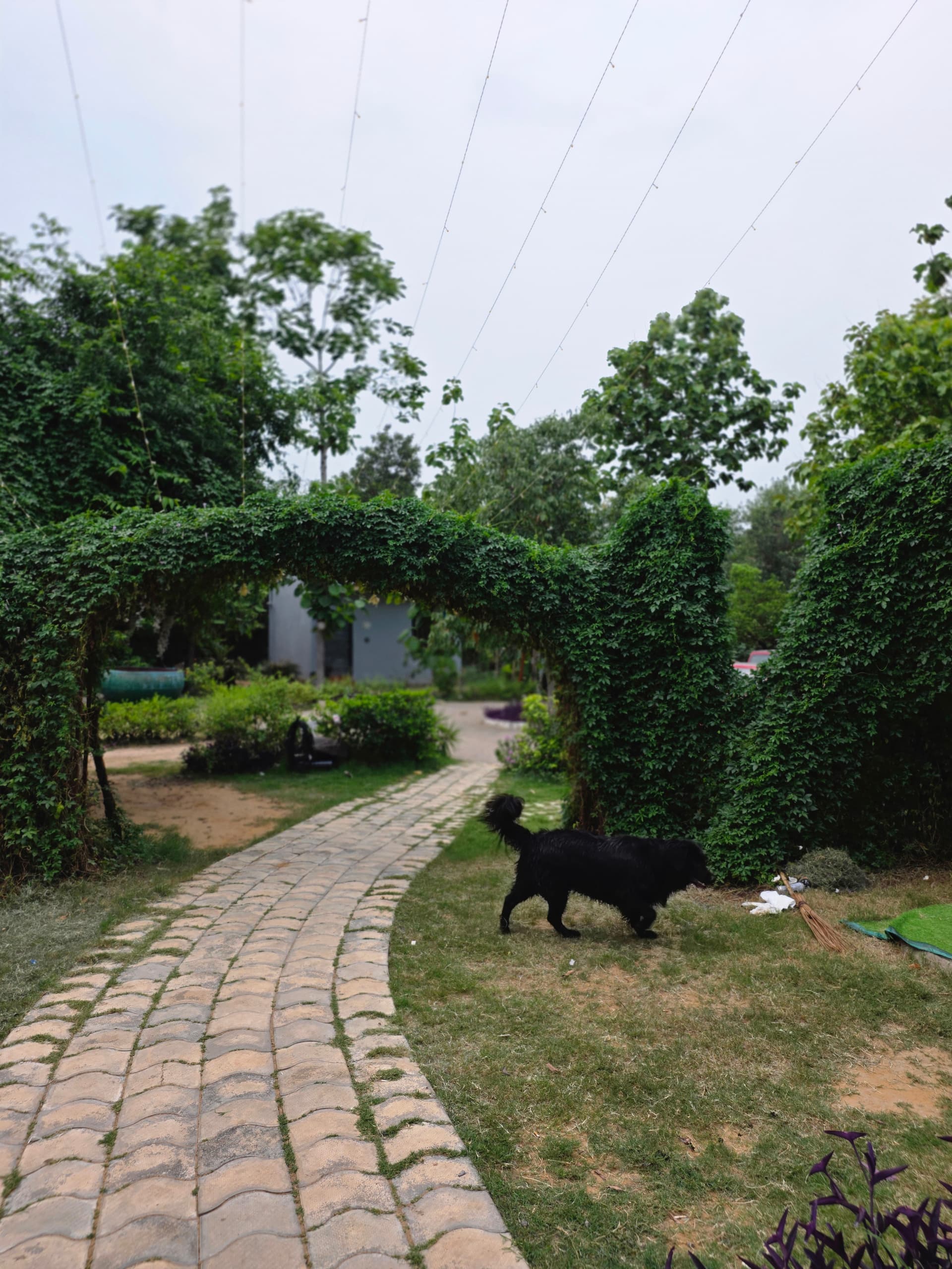 Niladri Farms (Gurgaon) (Gurugram)