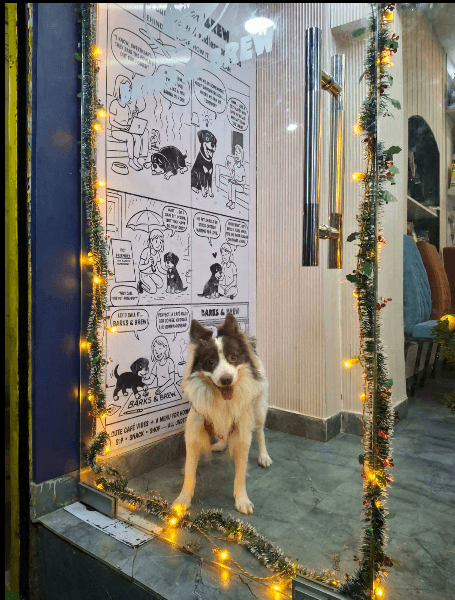 Barks & Brew (Kolkata)