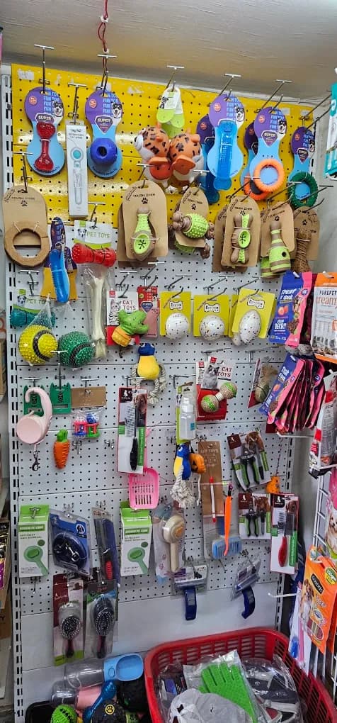 Pet Care Mart & Clinic - Best Pet Store | Pet Clinic | Pet Food | Pet Accessories | Best Pet Product (Jodhpur)