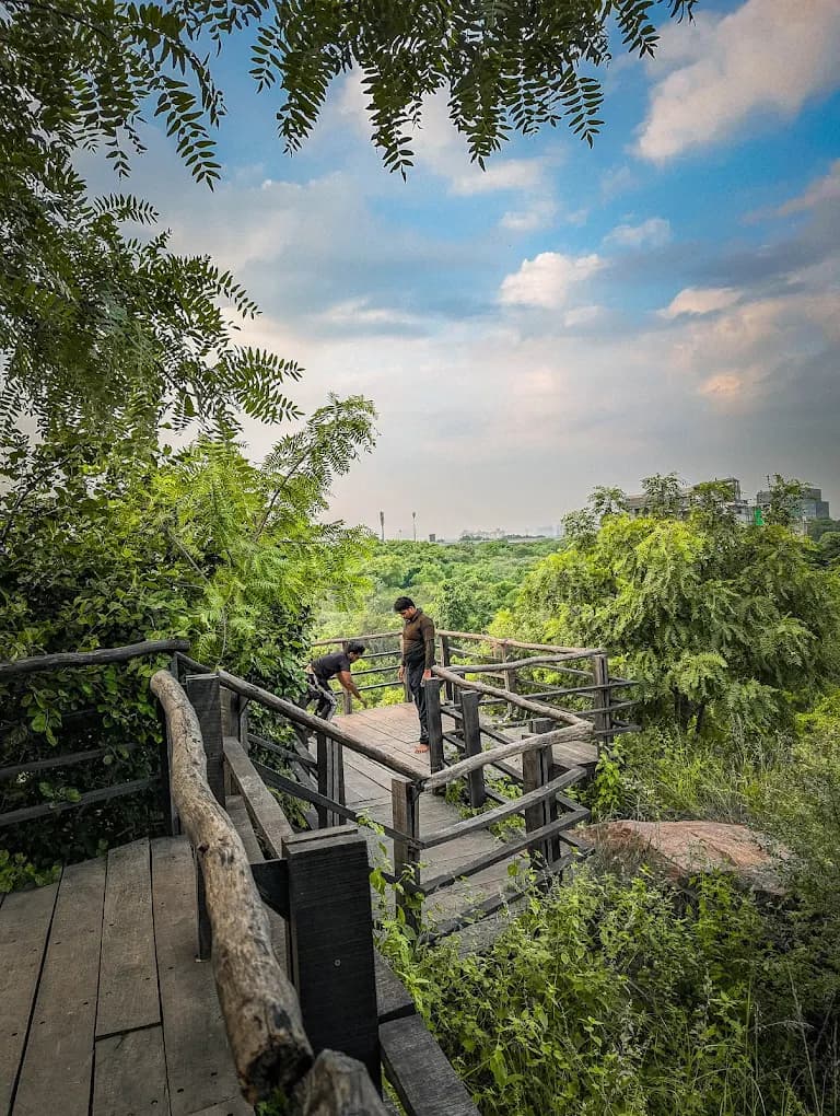 Aravalli Biodiversity Park (Gurugram)